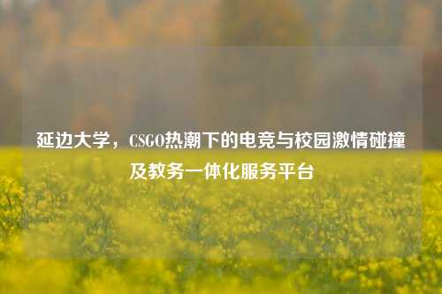 延边大学,CSGO热潮下的电竞与校园激情碰撞及教务一体化服务平台
