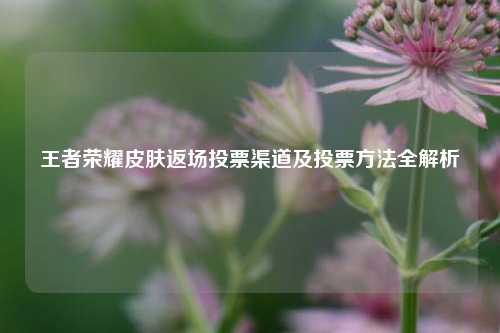 王者荣耀皮肤返场投票渠道及投票方法全解析