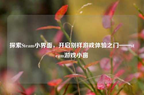探索Steam小界面,开启别样游戏体验之门——steam游戏小窗