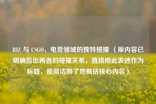 RIZ 与 CSGO,电竞领域的独特碰撞 (原内容已明确指出两者的碰撞关系,直接用此表述作为标题,能简洁明了地概括核心内容)