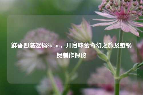 鲜香四溢蟹锅Steam,开启味蕾奇幻之旅及蟹锅煲制作探秘