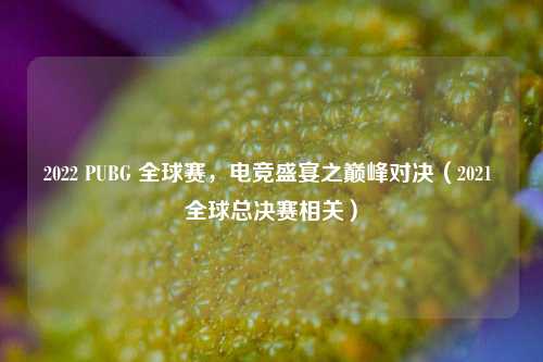 2022 PUBG 全球赛，电竞盛宴之巅峰对决（2021 全球总决赛相关）