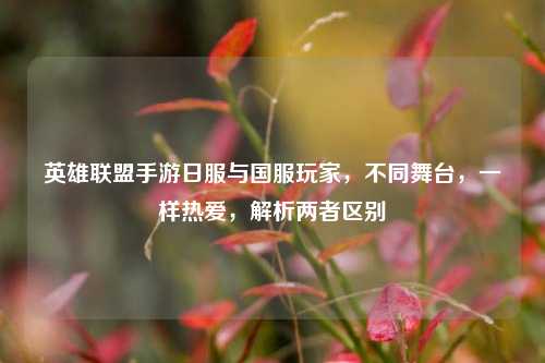 英雄联盟手游日服与国服玩家,不同舞台,一样热爱,解析两者区别