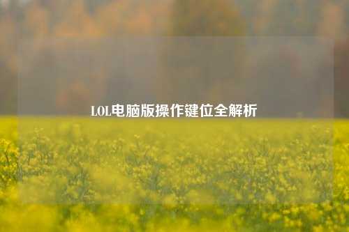 LOL电脑版操作键位全解析