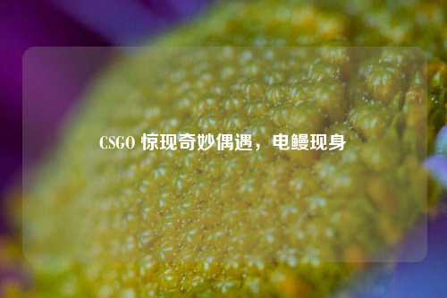 CSGO 惊现奇妙偶遇,电鳗现身