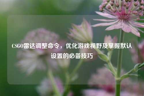 CSGO雷达调整命令,优化游戏视野及掌握默认设置的必备技巧