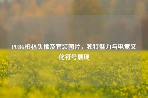 PUBG柏林头像及套装图片,独特魅力与电竞文化符号展现