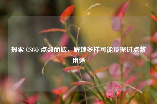 探索 CSGO 点数商城,解锁多样可能及探讨点数用途