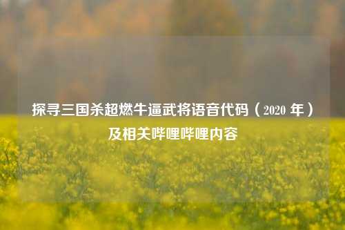 探寻三国杀超燃牛逼武将语音代码（2020 年）及相关哔哩哔哩内容