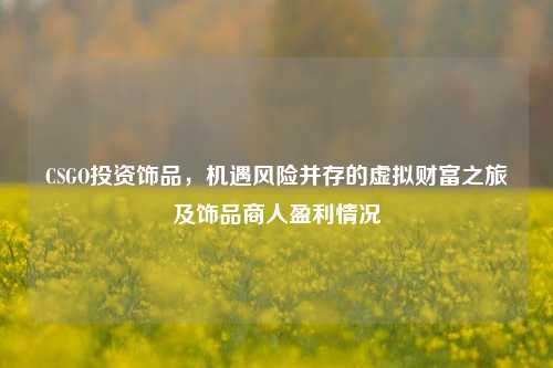 CSGO投资饰品,机遇风险并存的虚拟财富之旅及饰品商人盈利情况