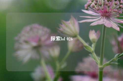 探索lol 026