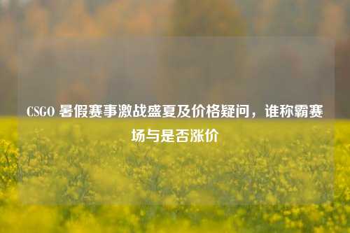 CSGO 暑假赛事激战盛夏及价格疑问,谁称霸赛场与是否涨价