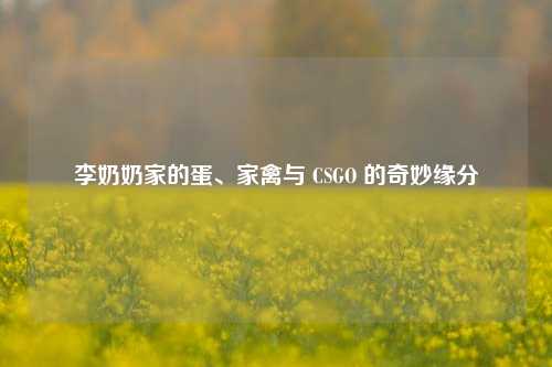 李奶奶家的蛋、家禽与 CSGO 的奇妙缘分