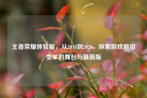 王者荣耀体验服,从2018到2026,探索游戏前沿变革的舞台与最新版