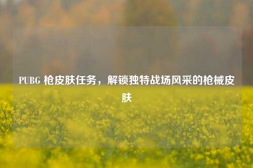 PUBG 枪皮肤任务，解锁独特战场风采的枪械皮肤