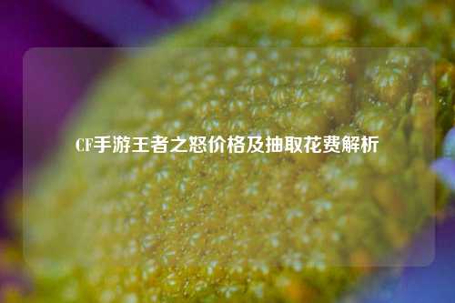 CF手游王者之怒价格及抽取花费解析