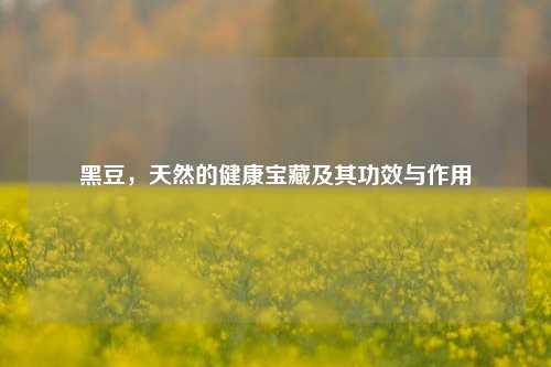 黑豆，天然的健康宝藏及其功效与作用