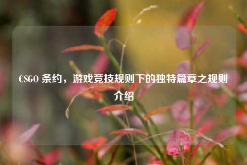 CSGO 条约,游戏竞技规则下的独特篇章之规则介绍