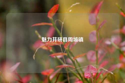 魅力井研县周坡镇