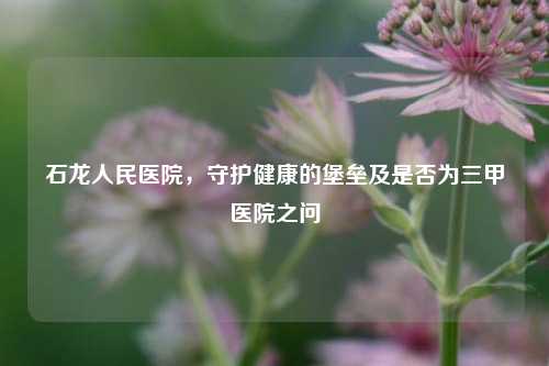 石龙人民医院,守护健康的堡垒及是否为三甲医院之问