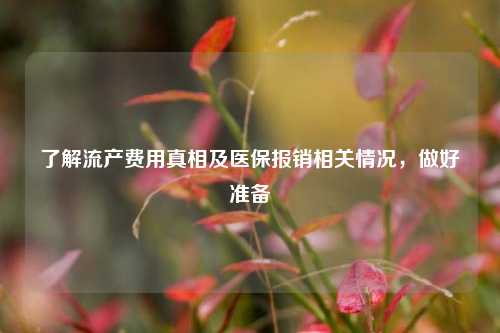 了解流产费用真相及医保报销相关情况,做好准备