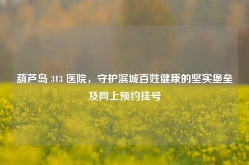 葫芦岛 313 医院，守护滨城百姓健康的坚实堡垒及网上预约挂号