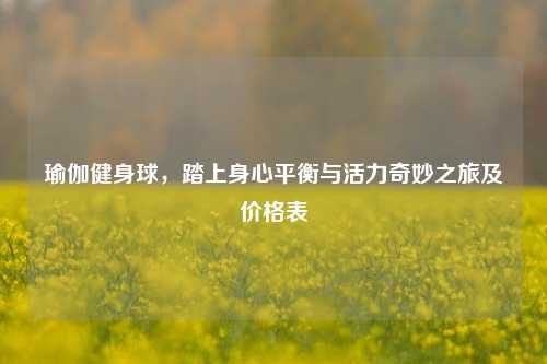 瑜伽健身球,踏上身心平衡与活力奇妙之旅及价格表