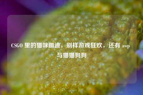 CSGO 里的猫咪蹦迪，别样游戏狂欢，还有 awp 与猫猫狗狗