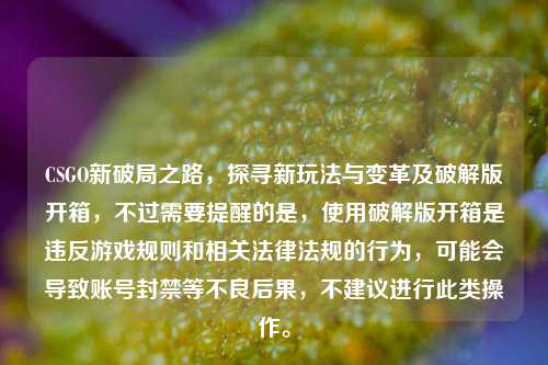 CSGO新破局之路,探寻新玩法与变革及破解版开箱,不过需要提醒的是,使用破解版开箱是违反游戏规则和相关法律法规的行为,可能会导致账号封禁等不良后果,不建议进行此类操作。