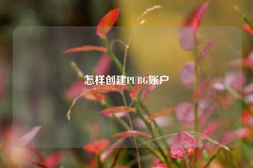 怎样创建PUBG账户
