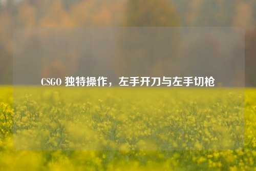 CSGO 独特操作,左手开刀与左手切枪