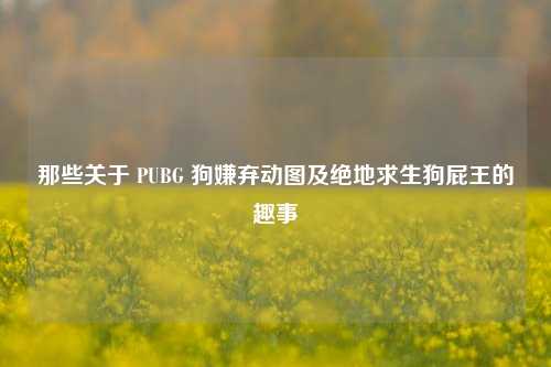 那些关于 PUBG 狗嫌弃动图及绝地求生狗屁王的趣事