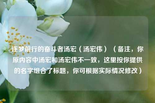 逐梦前行的奋斗者汤宏(汤宏伟) (备注,你原内容中汤宏和汤宏伟不一致,这里按你提供的名字组合了标题,你可根据实际情况修改)