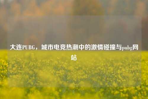 大连PUBG，城市电竞热潮中的激情碰撞与pubg网站