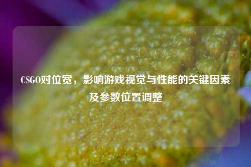 CSGO对位宽,影响游戏视觉与性能的关键因素及参数位置调整