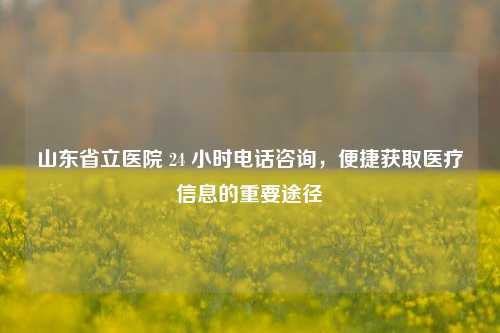 山东省立医院 24 小时电话咨询，便捷获取医疗信息的重要途径