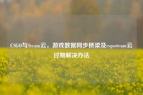 CSGO与Steam云,游戏数据同步桥梁及csgosteam云过期解决办法