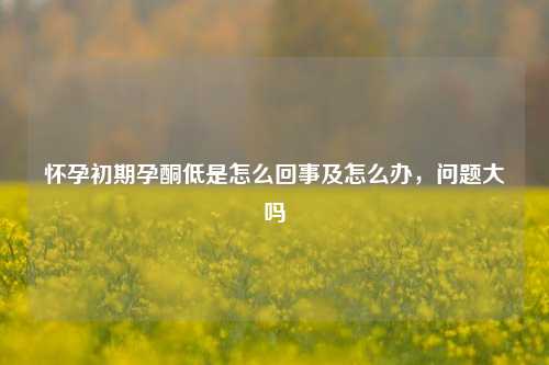 怀孕初期孕酮低是怎么回事及怎么办，问题大吗