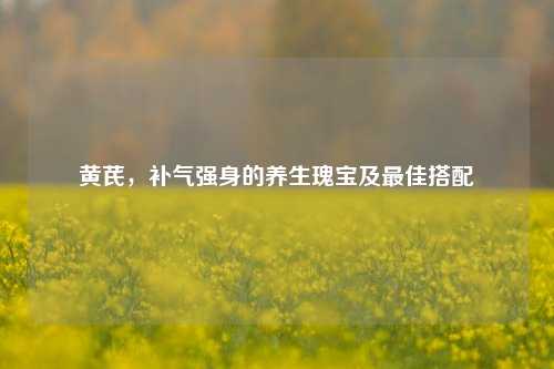 黄芪,补气强身的养生瑰宝及最佳搭配