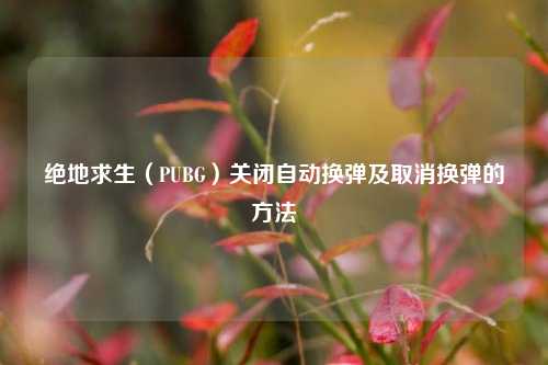 绝地求生(PUBG)关闭自动换弹及取消换弹的方法