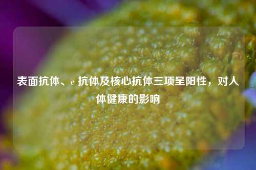 表面抗体、e 抗体及核心抗体三项呈阳性，对人体健康的影响