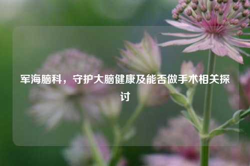 军海脑科,守护大脑健康及能否做手术相关探讨