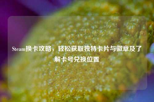 Steam换卡攻略,轻松获取独特卡片与徽章及了解卡号兑换位置