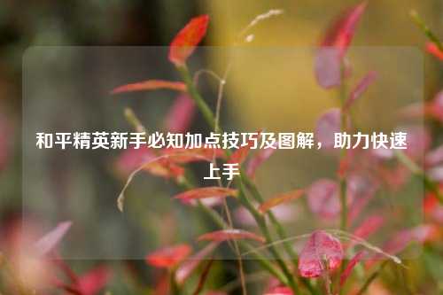 和平精英新手必知加点技巧及图解,助力快速上手