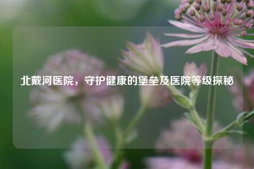北戴河医院，守护健康的堡垒及医院等级探秘