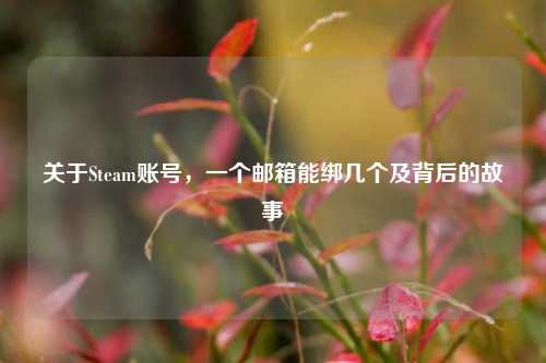 关于Steam账号,一个邮箱能绑几个及背后的故事