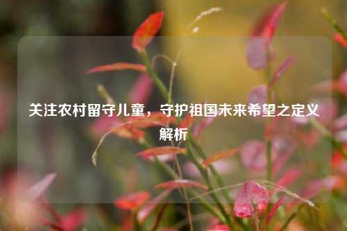 关注农村留守儿童,守护祖国未来希望之定义解析
