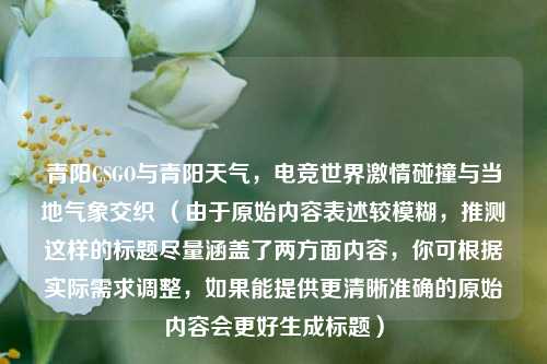 青阳CSGO与青阳天气,电竞世界激情碰撞与当地气象交织 (由于原始内容表述较模糊,推测这样的标题尽量涵盖了两方面内容,你可根据实际需求调整,如果能提供更清晰准确的原始内容会更好生成标题)