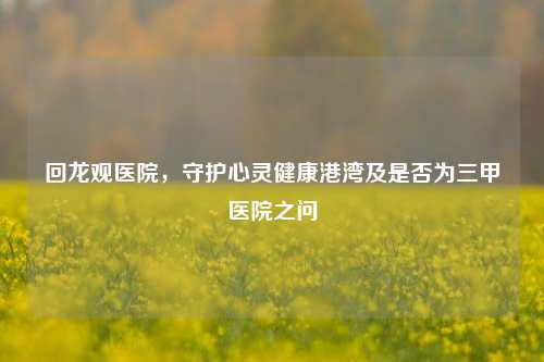 回龙观医院，守护心灵健康港湾及是否为三甲医院之问