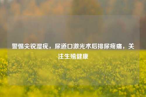 警惕尖锐湿疣,尿道口激光术后排尿疼痛,关注生殖健康
